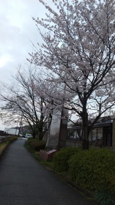 IMG_0001_BURST00120210329060228